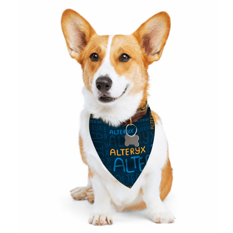 Small Dog Bandana - Alteryx Step & Repeat