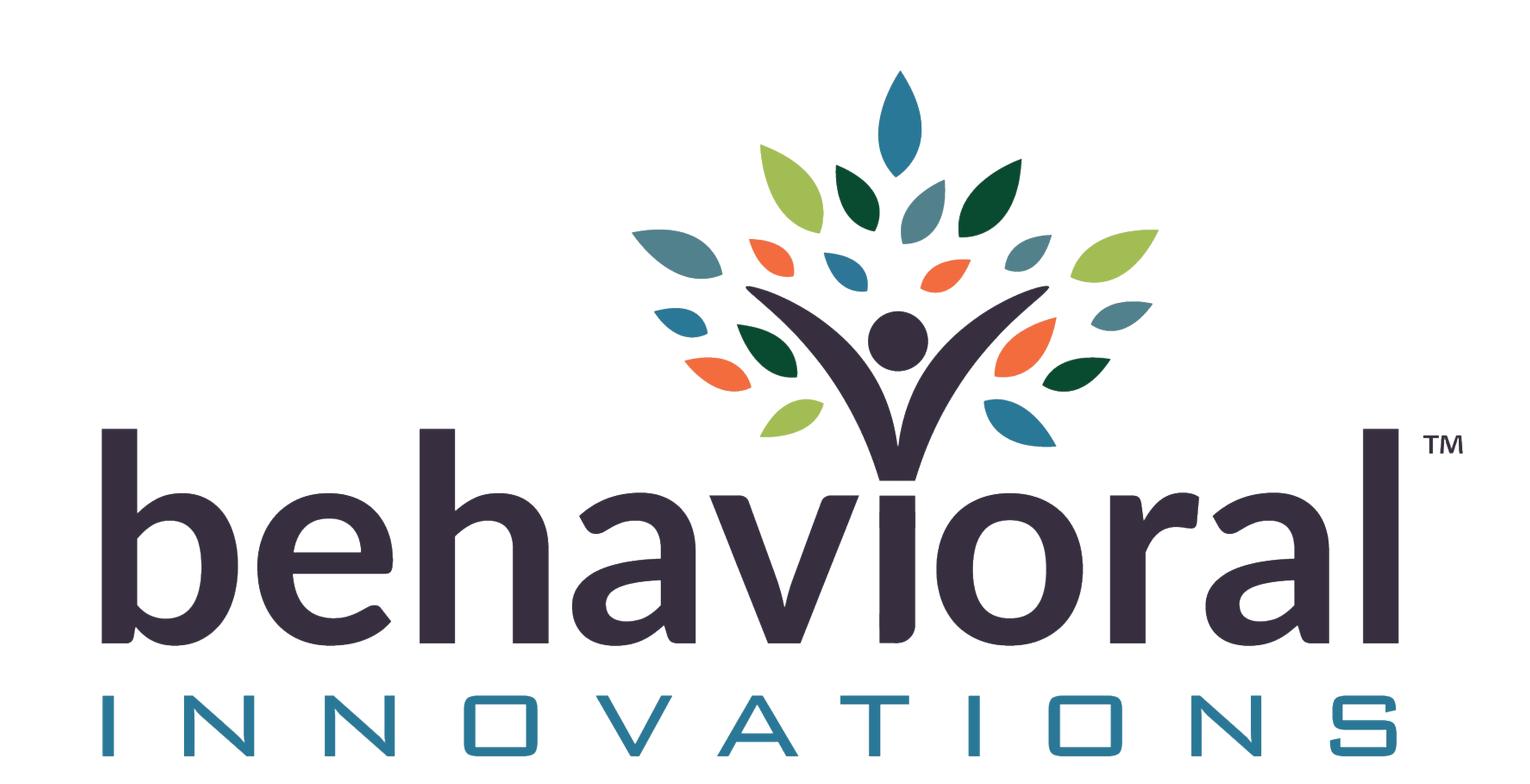 Behavioral Innovation - Retail Store