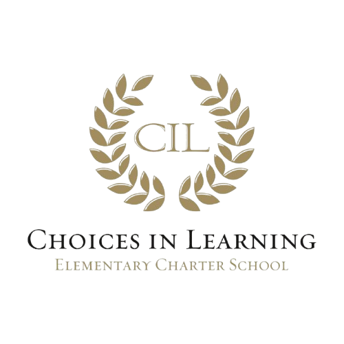 Choices in Learning
