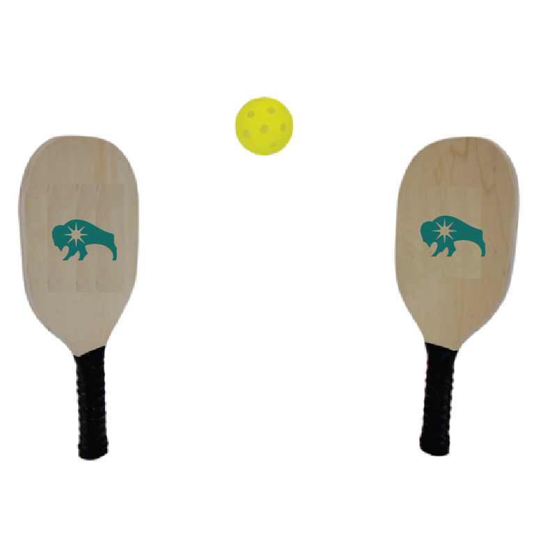 Pickle Ball Set