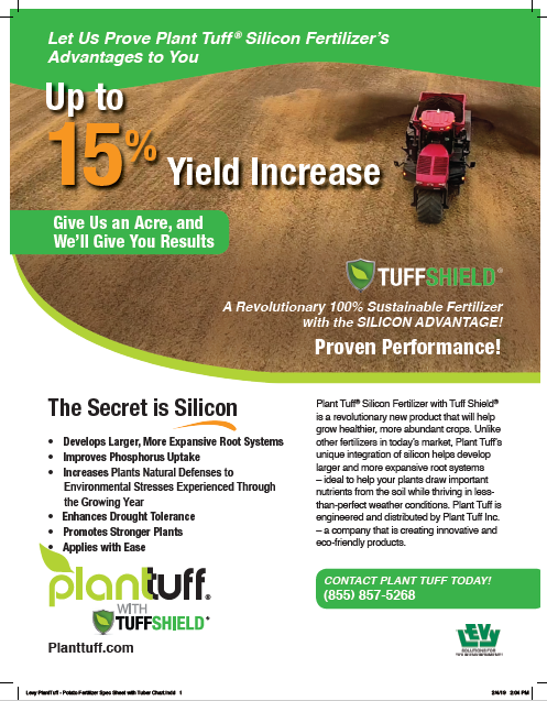 Plant Tuff-SelfBuff Flyer 2-sided