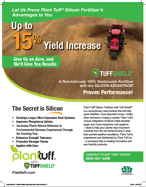 PT - Sugar Beets Flyer - 2-Sided