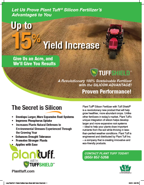 PT - Wheat Flyer - 2-Sided