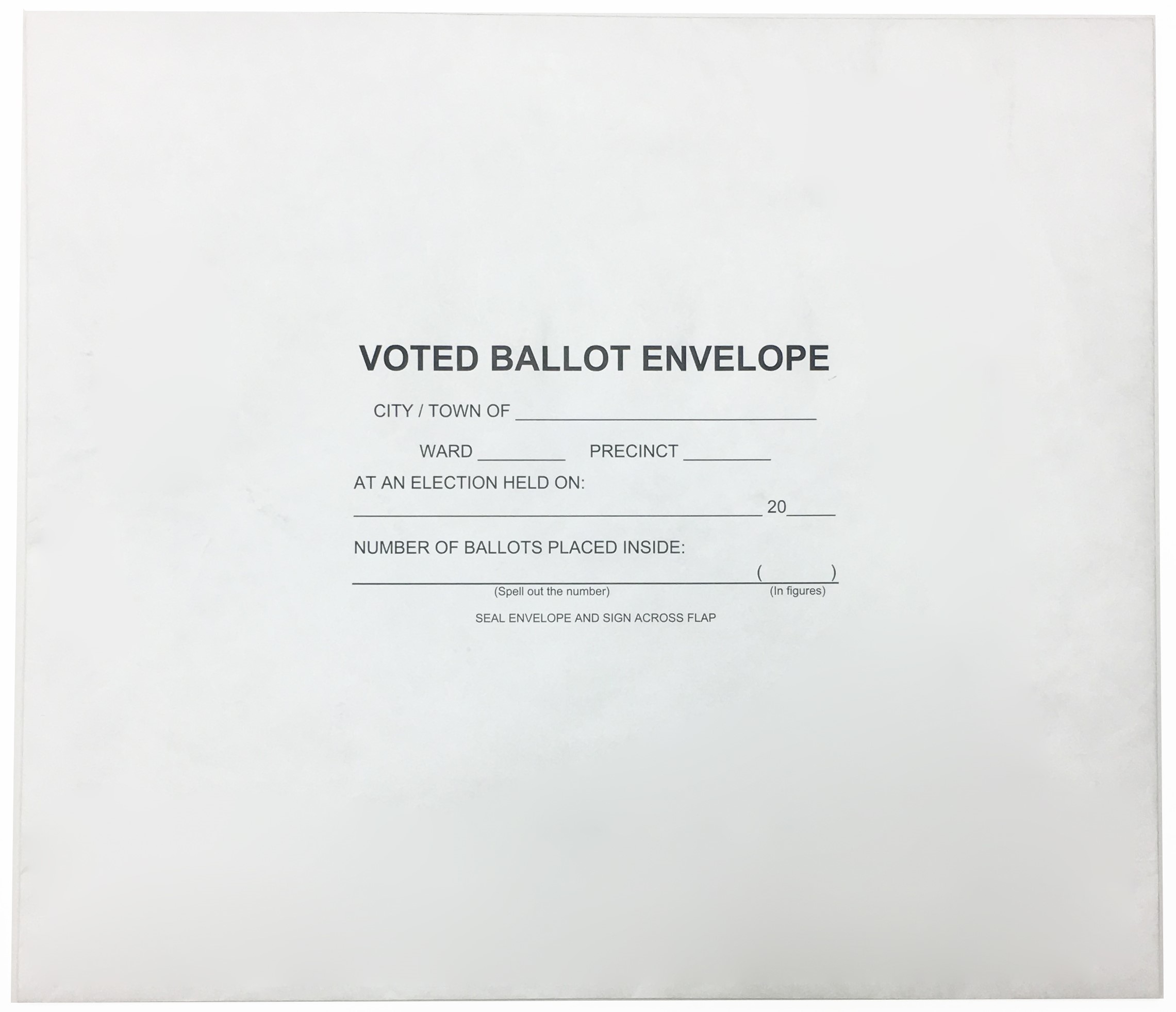 MN Voted Ballot Envelope