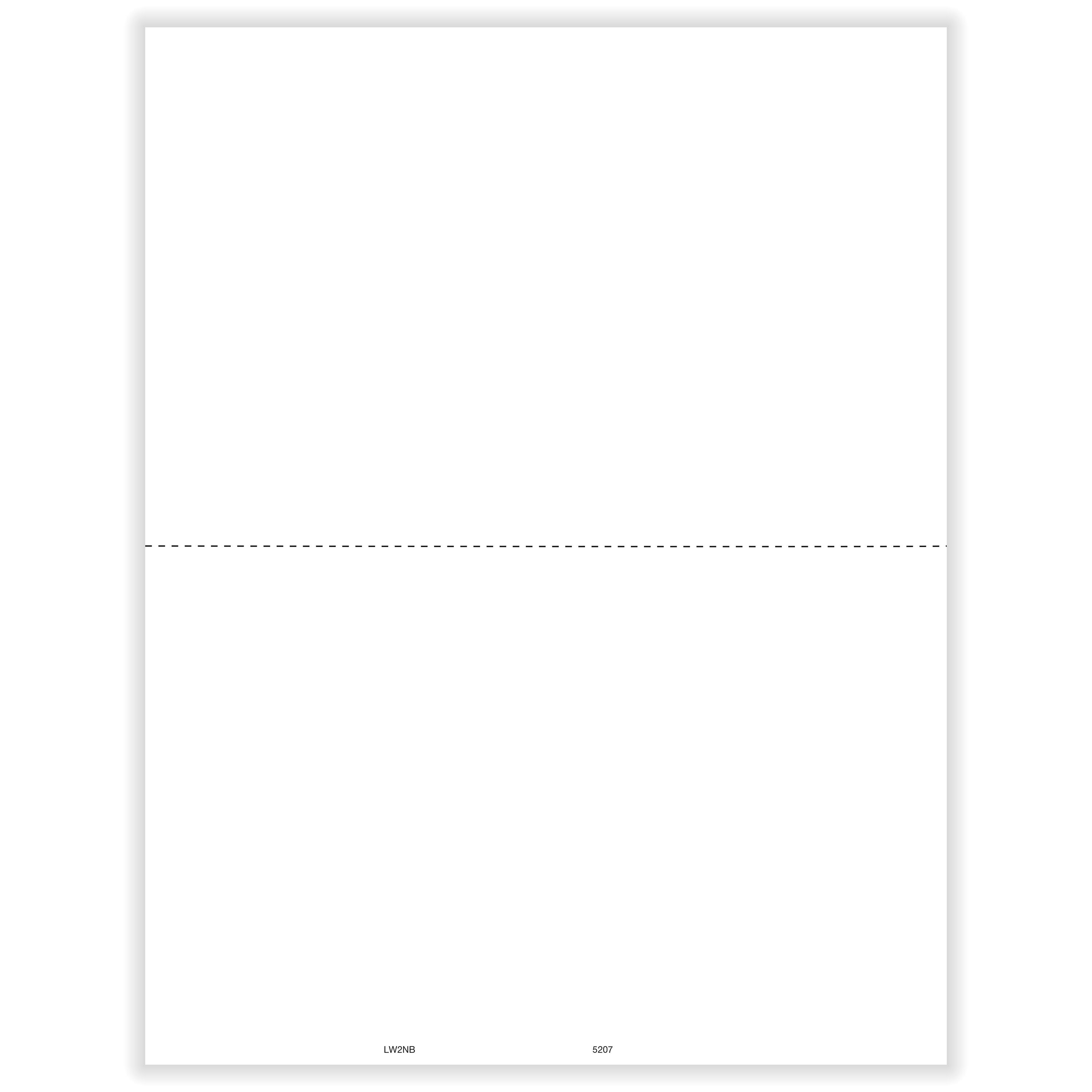 W2 2-Up Blank Cut Sheet (No Backer)