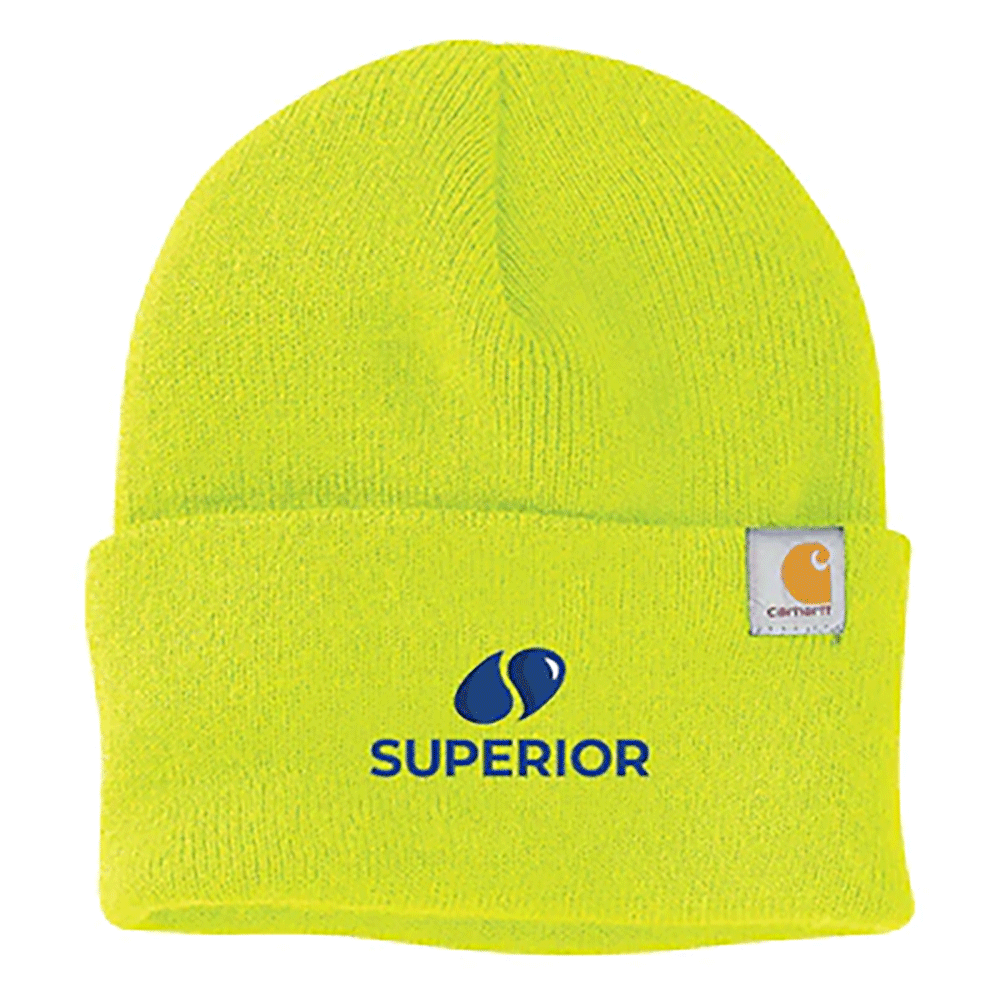 Carhartt Watch Cap 2.0