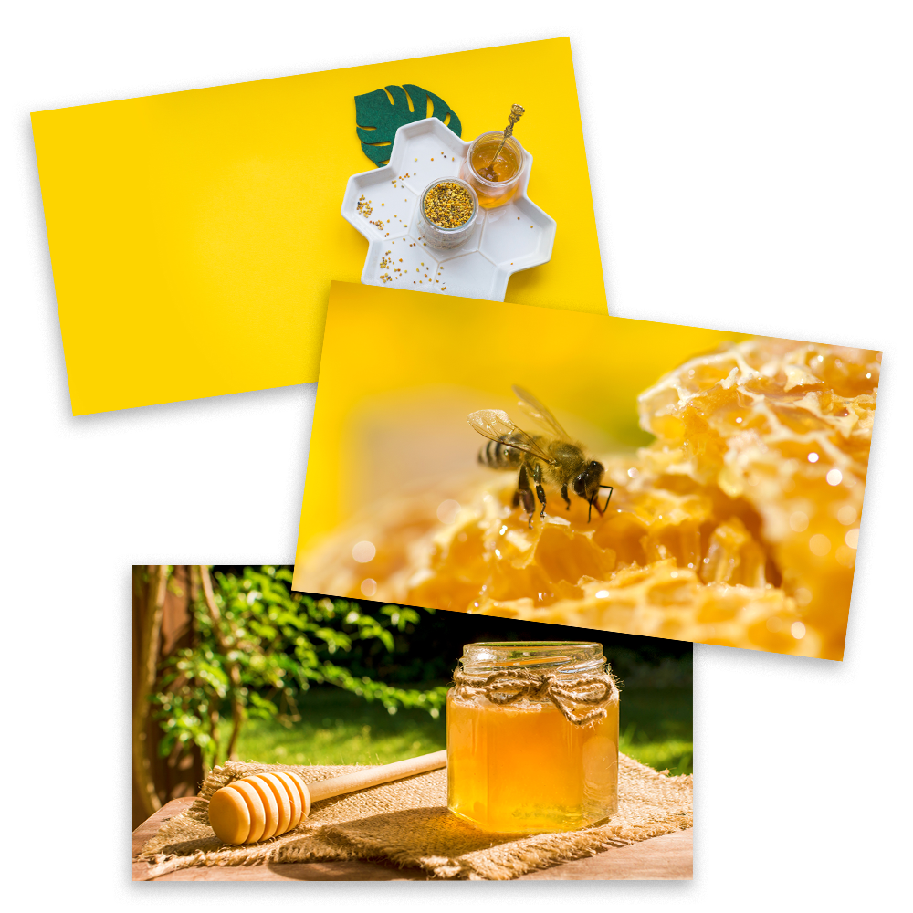 FREE! Desktop Backgrounds