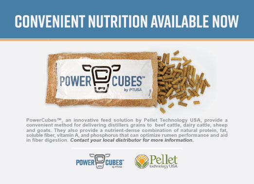 Power Cubes Variable Mailer