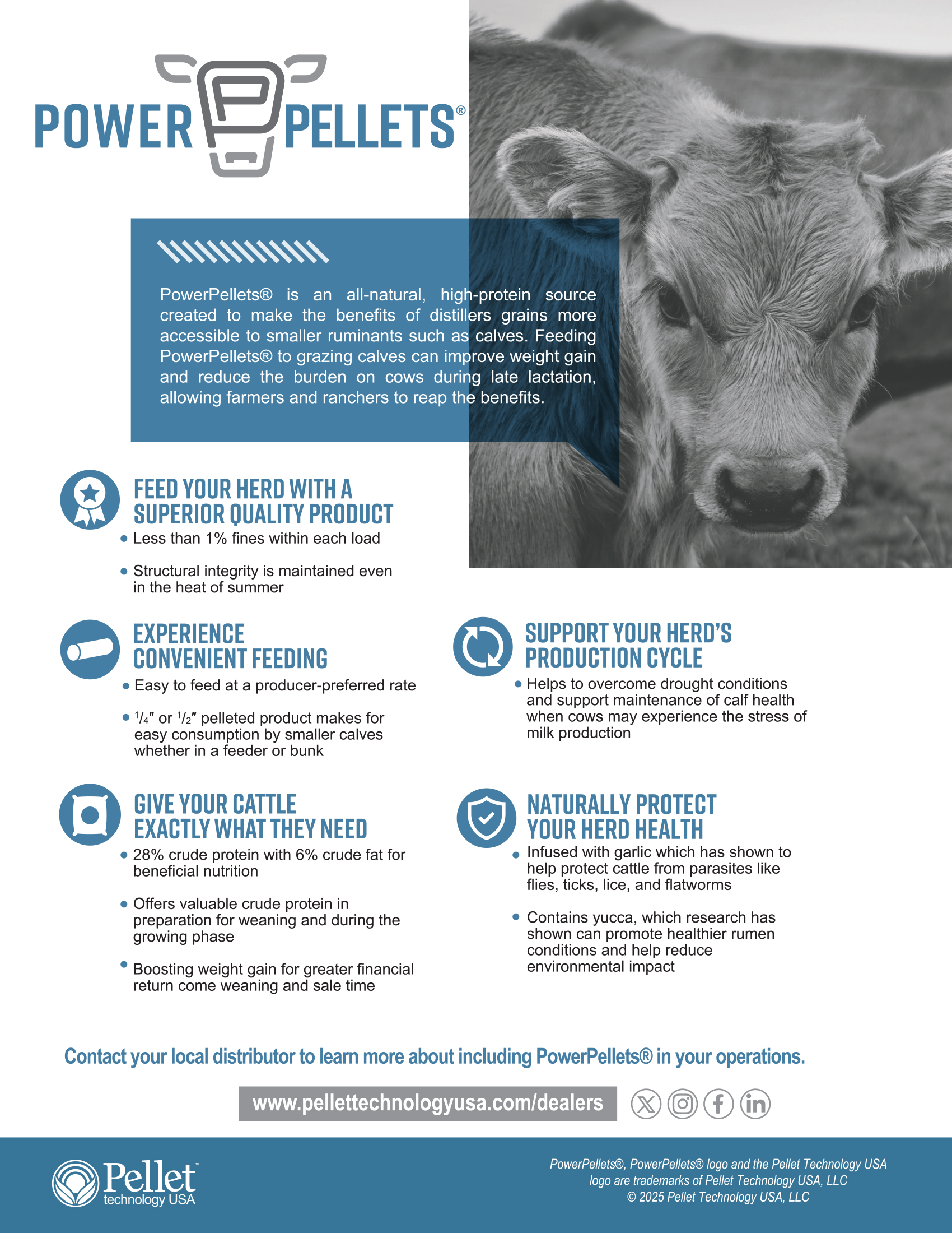 PTUSA Handouts, PowerPellets