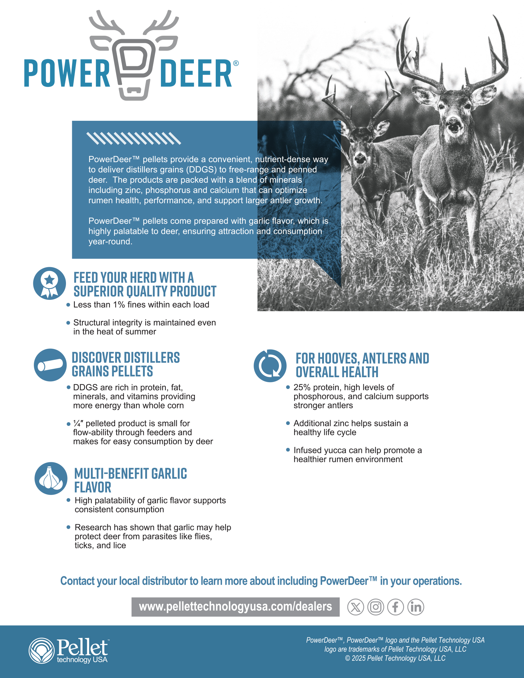 Power Deer One Page