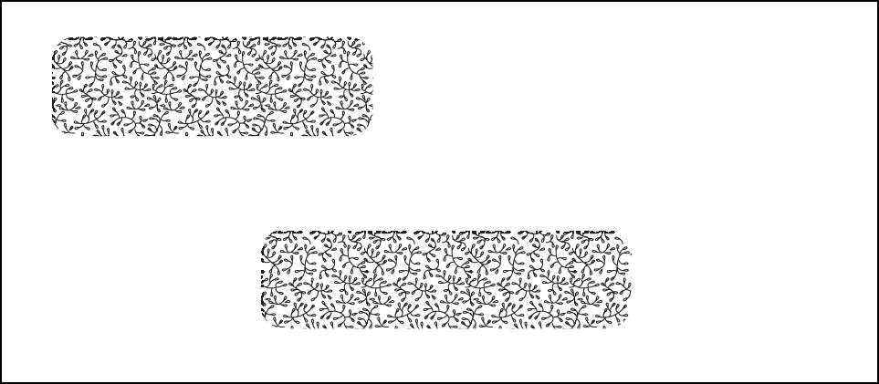 Envelope For Laser Statement B C and H PrimeCare