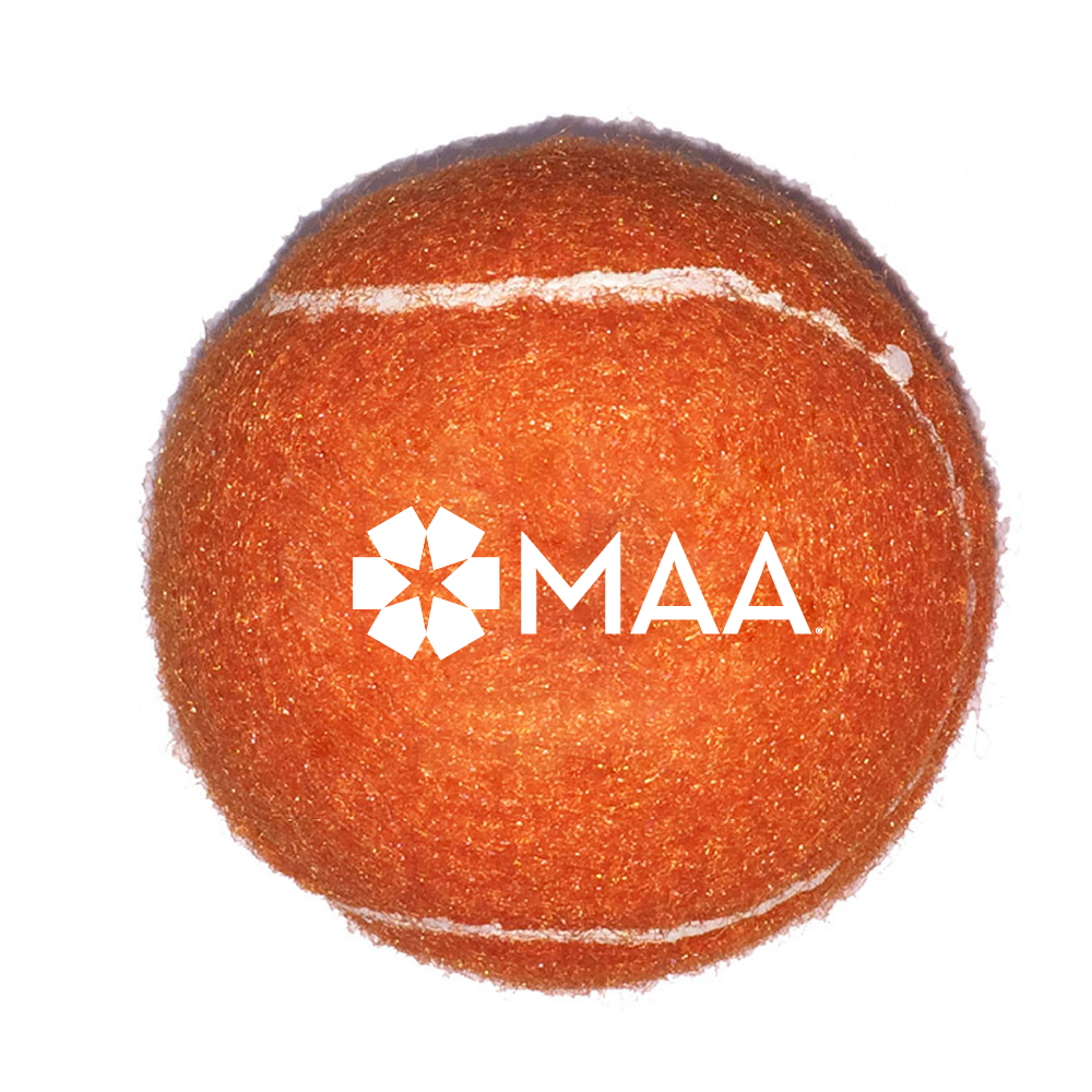 Pet Tennis Ball Toy