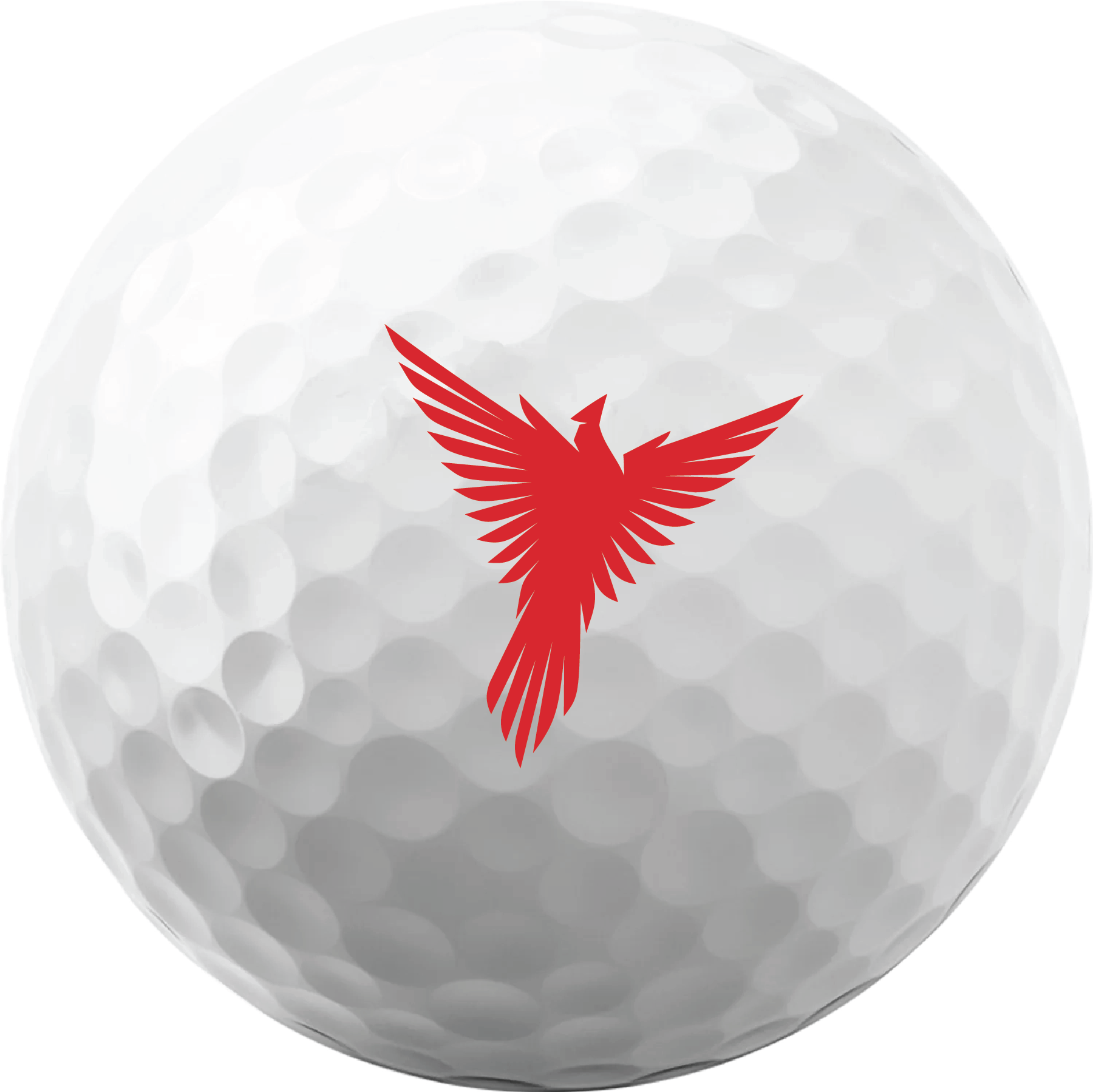 Titleist Golf Balls - 1 Dozen