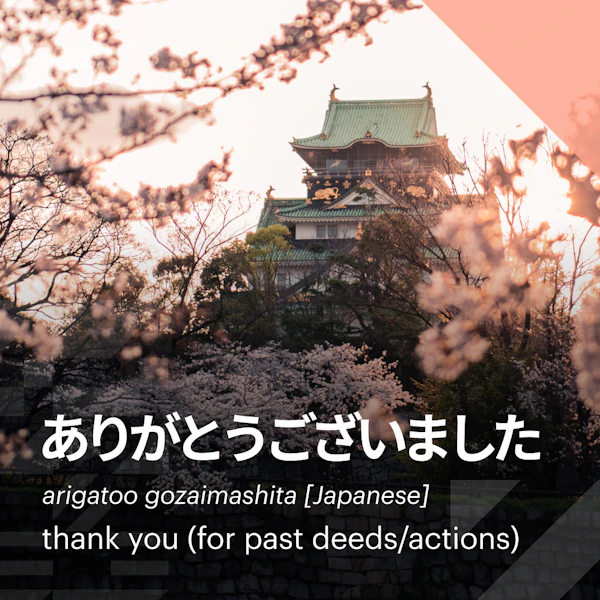 Thankful | Japanese Post | Facebook/Instagram