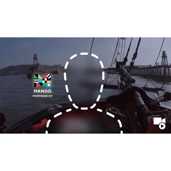 Mango Zoom Video Background - Pirate