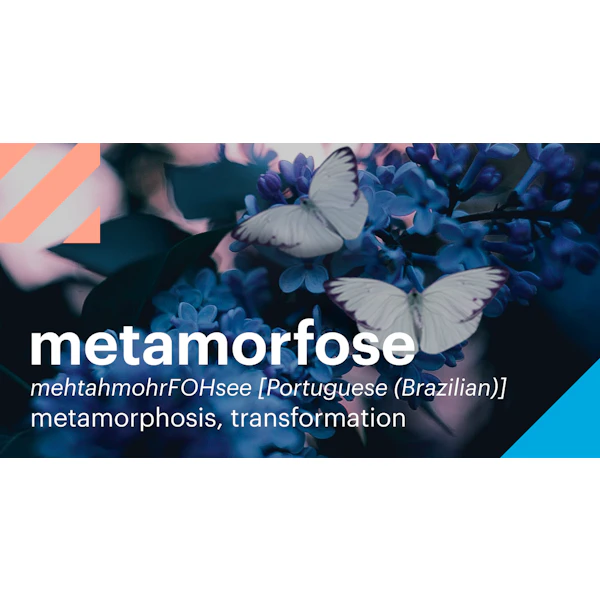 Words | metamorfose (Brazilian Portuguese) | Twitter