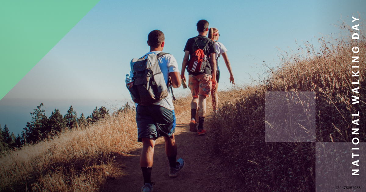 Learn without wi-fi | Facebook + Twitter