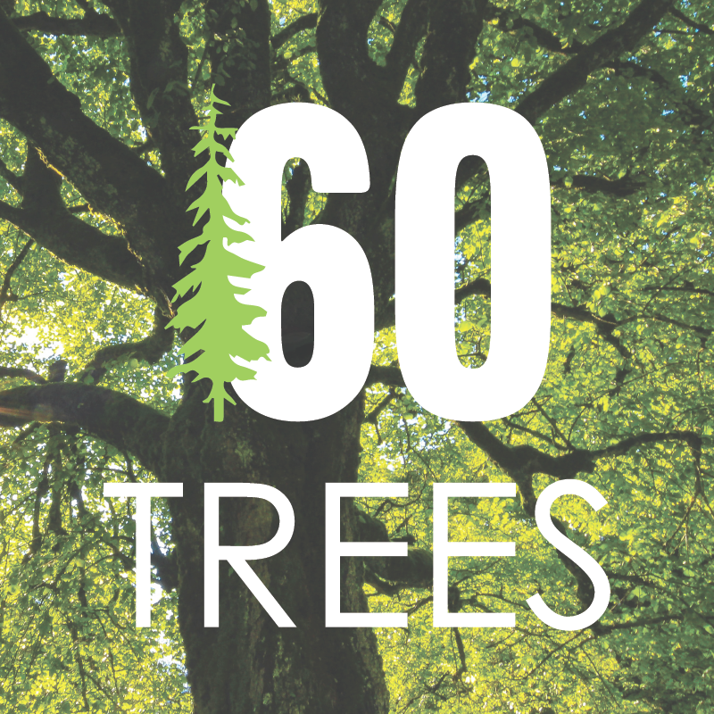 Plant 60 Trees - 50 Points
