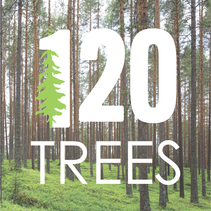 Plant 120 Trees - 100 Points