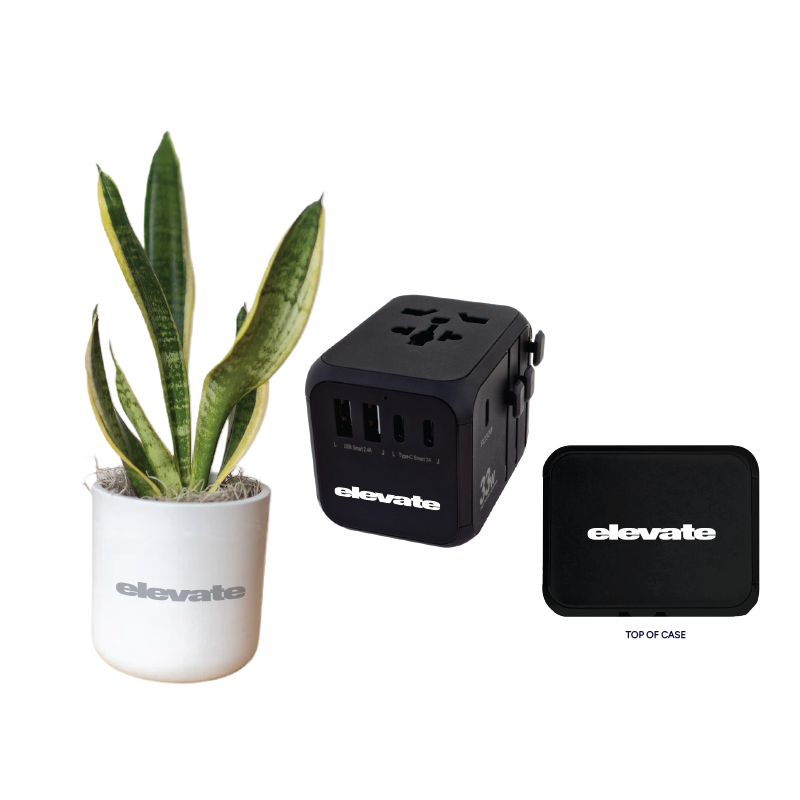 Snake Plant + Travel adapter