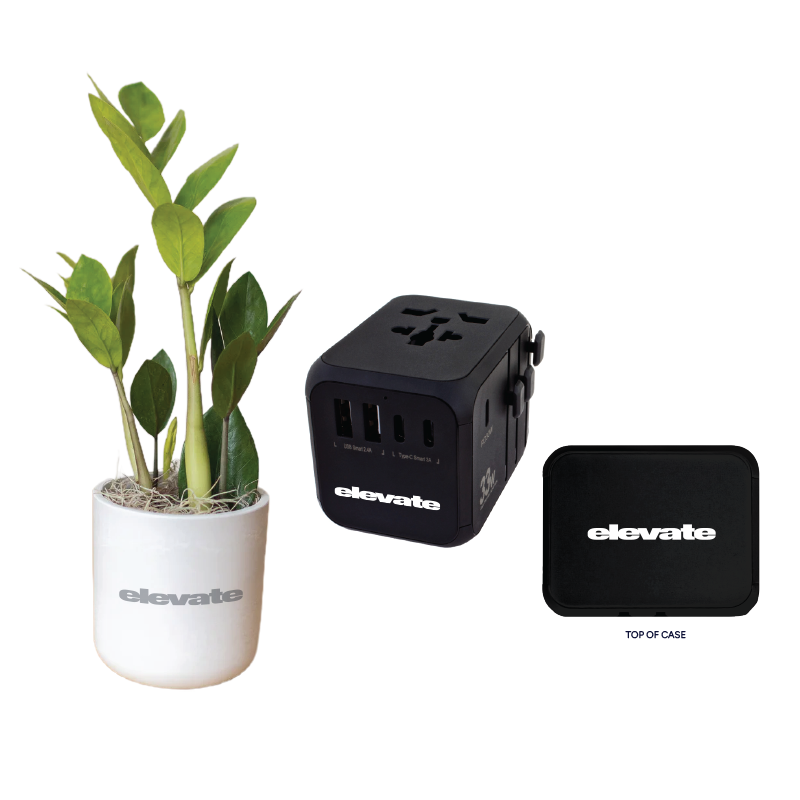 ZZ Plant + Travel Adapter