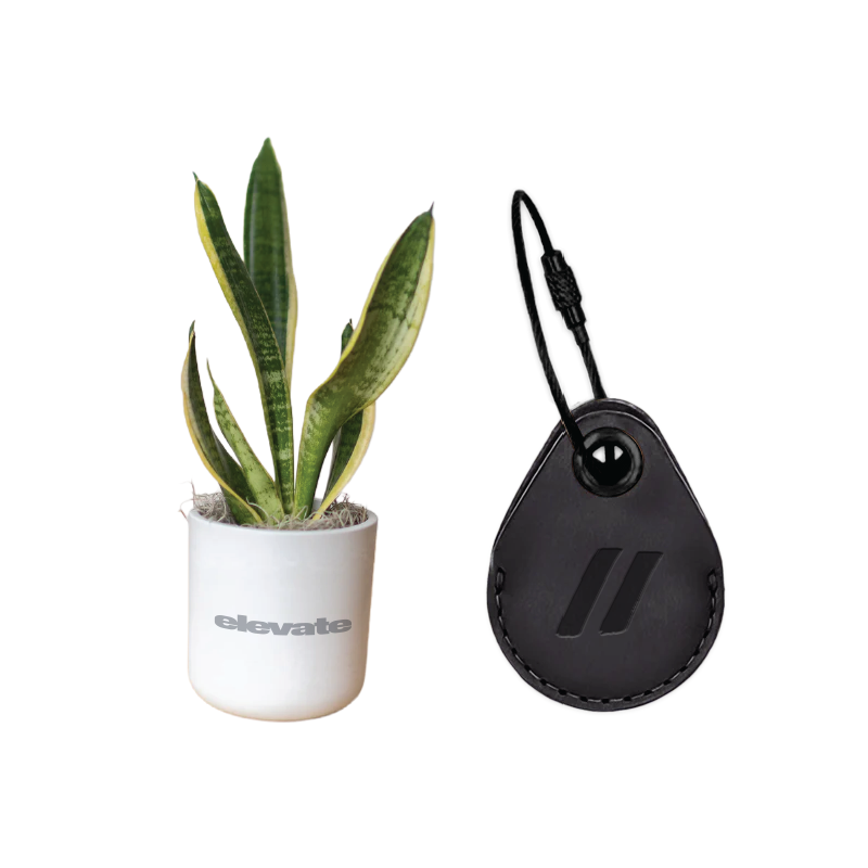 Snake Plant + AirTag with Leather case
