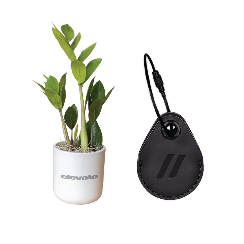 ZZ Plant + AirTag with Leather case