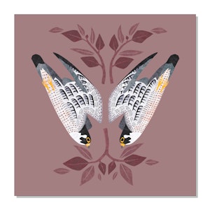 Peregrine Falcons Art Print