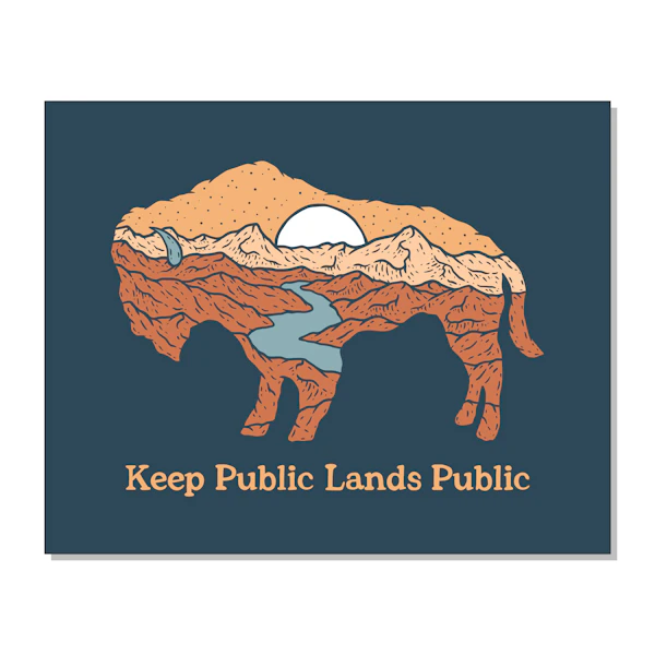 Public Lands Bison Art Print