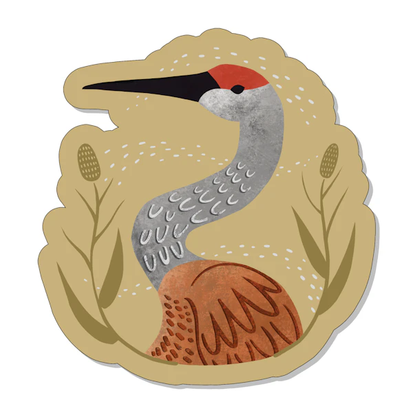 Sandhill Crane Sticker