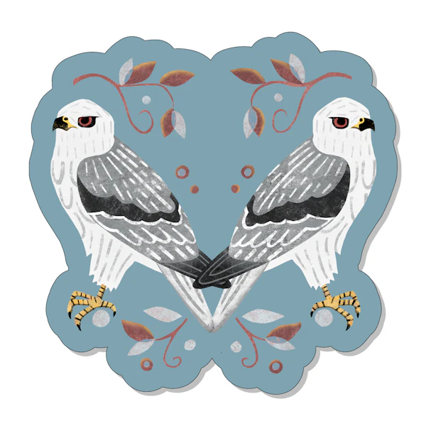 White Tailed Kite Sticker
