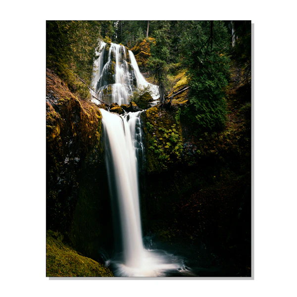 Falling into the Pacific Northwest Print