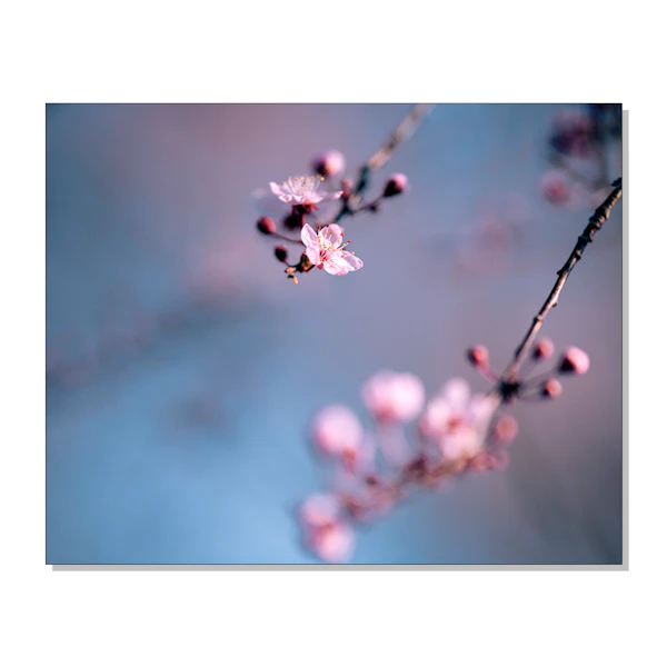 What Spring Does with the Cherry Trees Print
