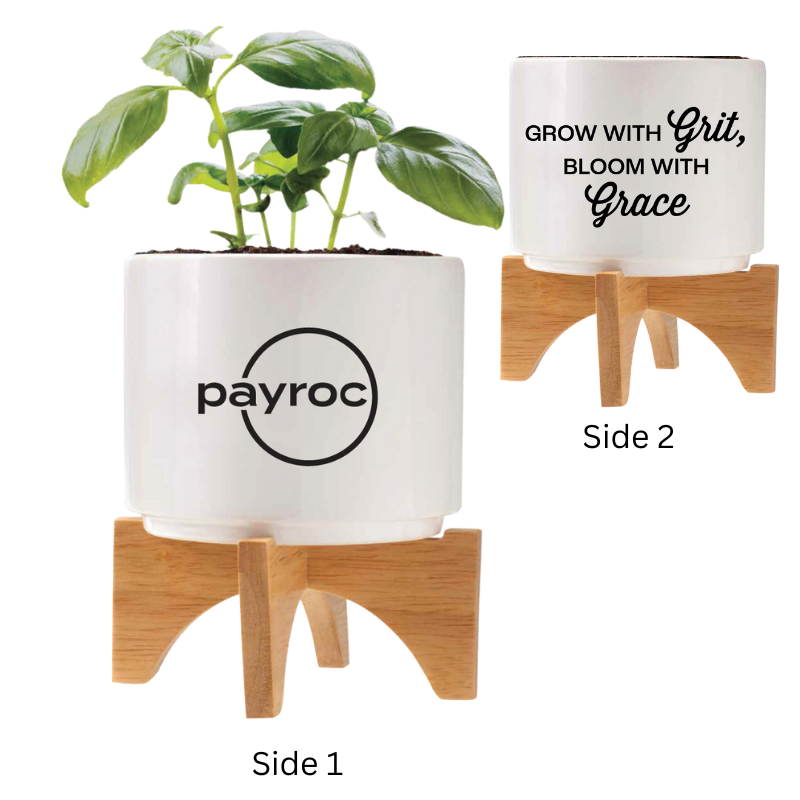 Ceramic Planter & Mint Seeds Kit