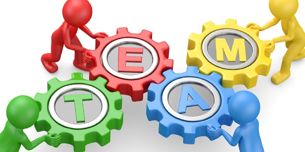 Project Team Picks for Fall 2024