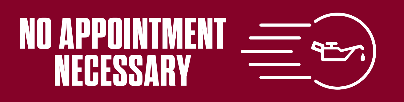 No Appointment Necessary Red Banner w/ 2ft Bungee