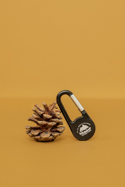 Compass Keychain