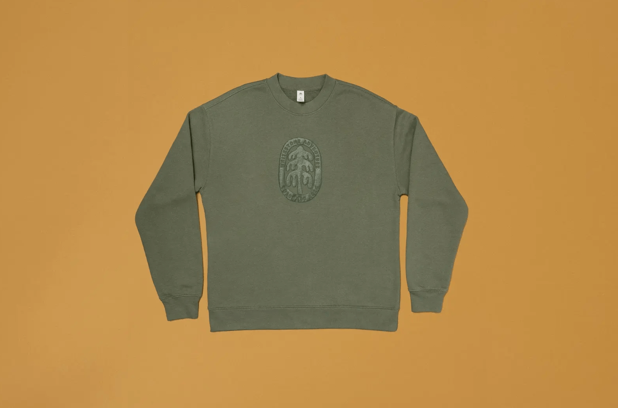 Colour Relaxed Crew Neck Sweatshirt