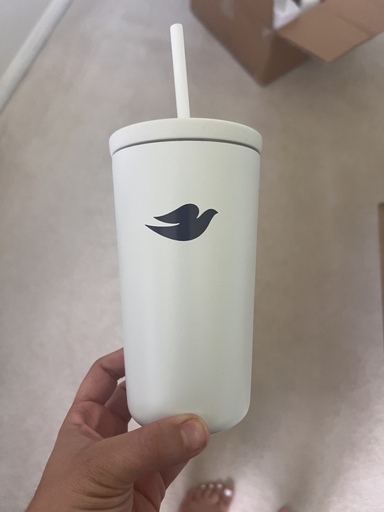 Dove_Stainless Cold Cup_16oz