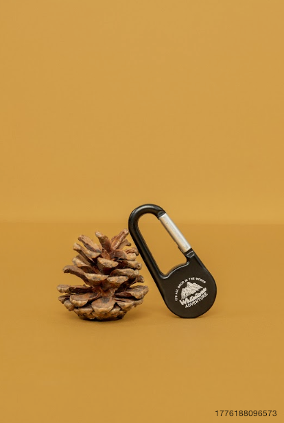 Compass Keychain