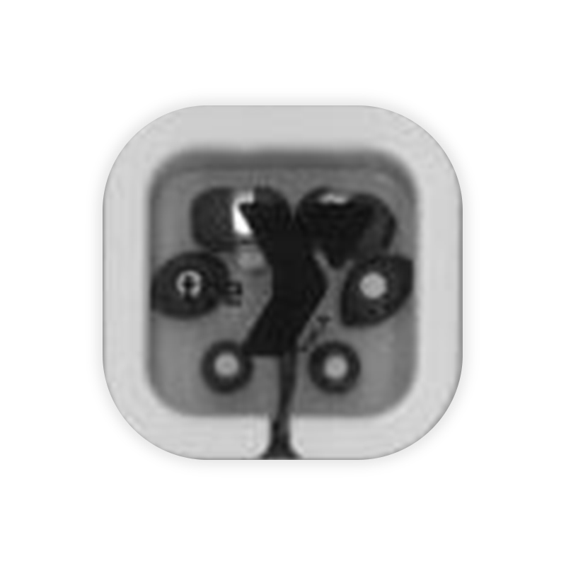 Ear Buds